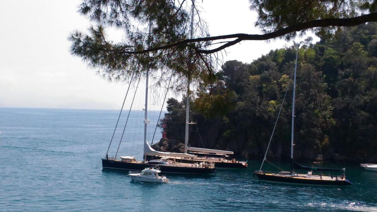 Liguria Home 4 - Recco Centro A 2 Minuti Dal Mare Exteriér fotografie
