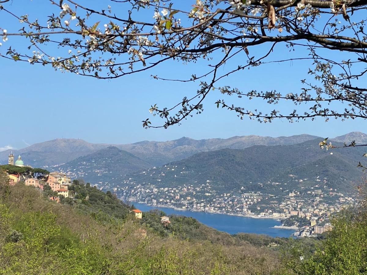 Liguria Home 4 - Recco Centro A 2 Minuti Dal Mare Exteriér fotografie